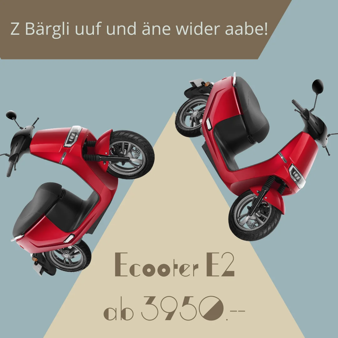 Ecooter E2
